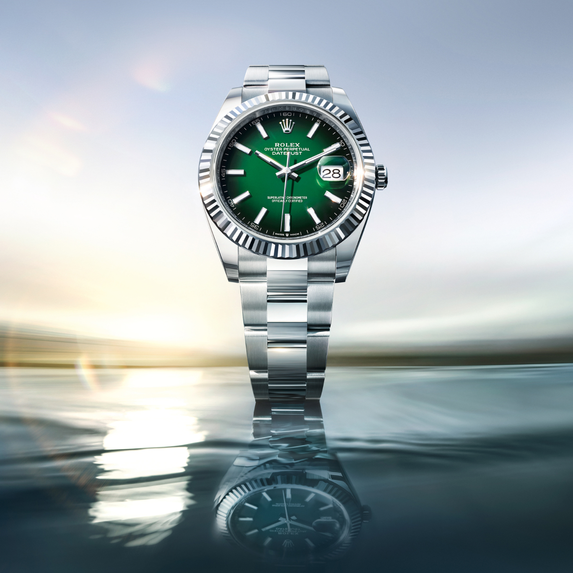 Discover the new Datejust 41 collection